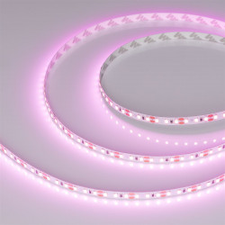 Светодиодная лента RT-A120-8mm 12V Pink (9.6 W/m, IP20, 2835, 5m), Arlight, 015897(2)
