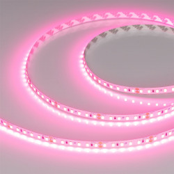Светодиодная лента RT-A120-8mm 24V Pink (9.6 W/m, IP20, 2835, 5m), Arlight, 043380