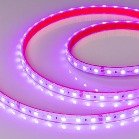 Светодиодная лента герметичная RTW-PS-B60-12mm 24V RGB (14.4 W/m, IP67, 5060, 5m), Arlight