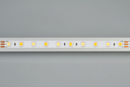svetodiodnaya-lenta-rt-6-5000-24v-white-mix-2x-5060-60-ledm-lux_10207