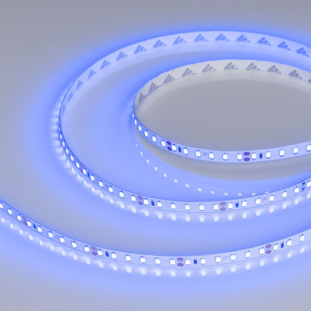 Светодиодная лента RT-A120-8mm 24V Blue (9.6 W/m, IP20, 2835, 5m), Arlight
