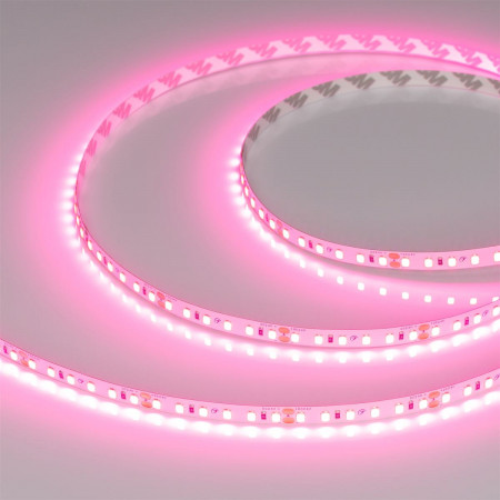 Светодиодная лента RT-A120-8mm 24V Pink (9.6 W/m, IP20, 2835, 5m), Arlight