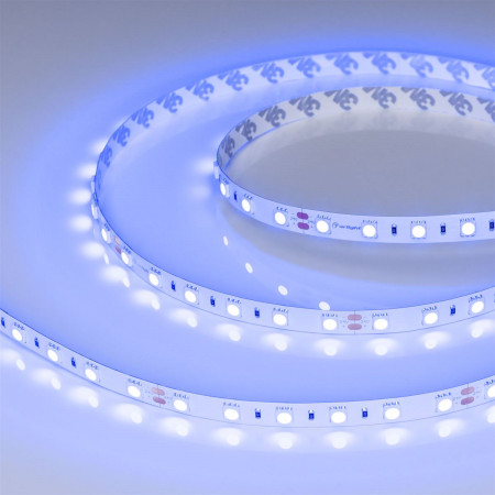 svetodiodnaya-lenta-rt-b60-10mm-24v-blue-14.4-wm-ip20-5060-5m_4041
