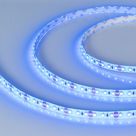 svetodiodnaya-lenta-rtw-2-5000se-12v-blue-2x-3528-600-ledlux_9144