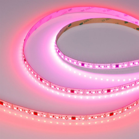 Светодиодная лента SPI-A120-10mm 24V RGB-PX6-BPT (23 W/m, IP20, 2835, 5m), Arlight