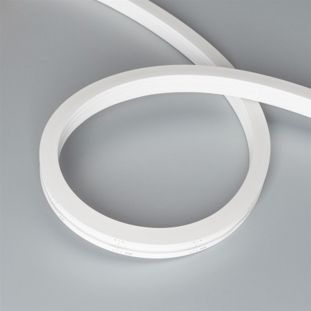 gibkij-neon-arl-moonlight-1712-side-24v-day_7406
